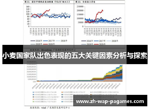 小麦国家队出色表现的五大关键因素分析与探索