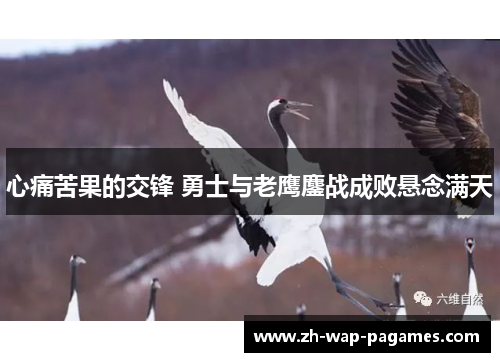心痛苦果的交锋 勇士与老鹰鏖战成败悬念满天 心痛苦果的交锋 勇士与老鹰鏖战成败悬念满天