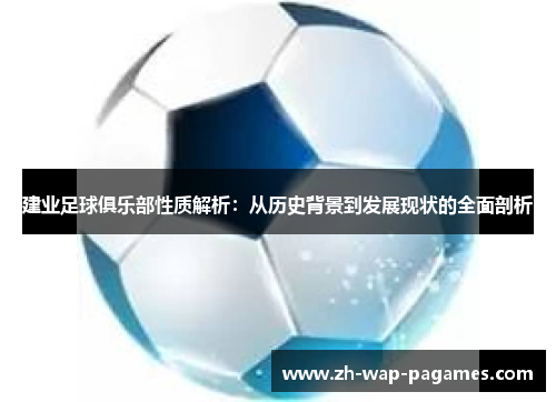 建业足球俱乐部性质解析：从历史背景到发展现状的全面剖析