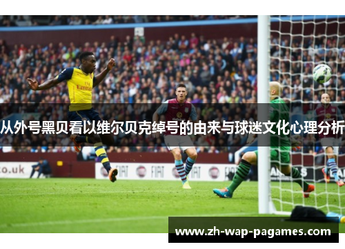 从外号黑贝看以维尔贝克绰号的由来与球迷文化心理分析